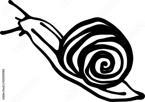 Hand drawing line art snail