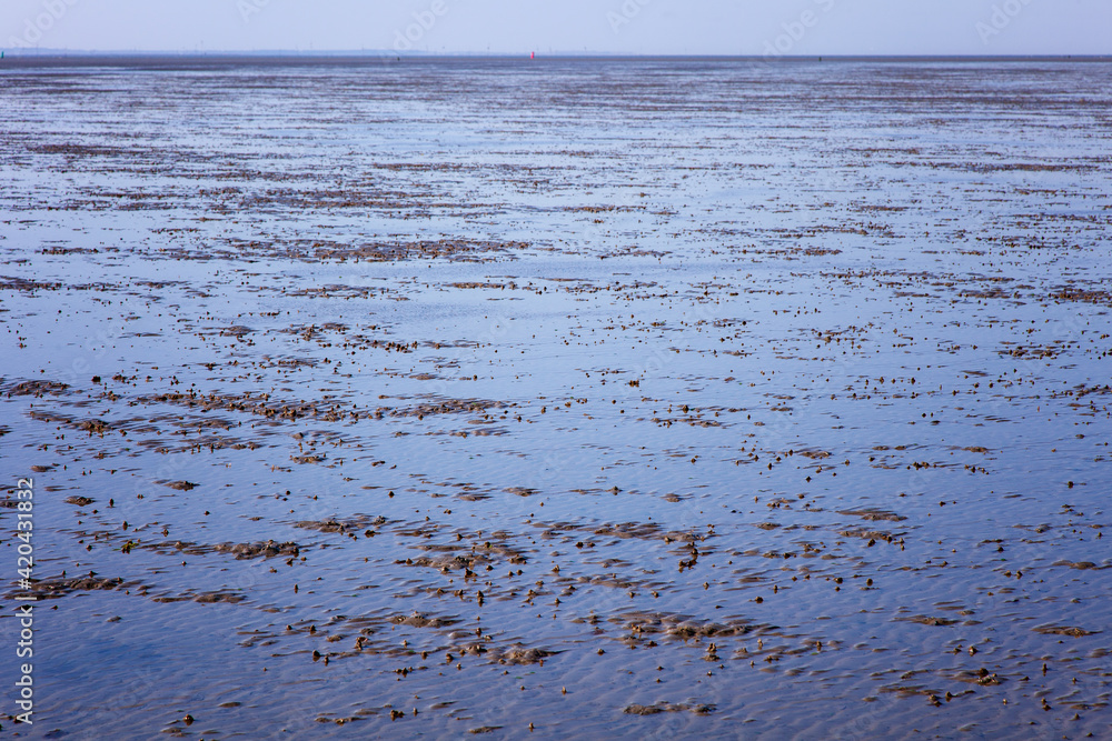 Fototapeta premium Wattenmeer bei Ebbe