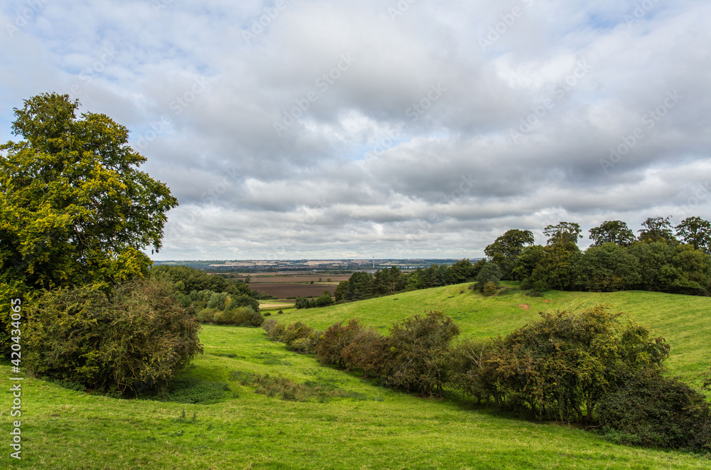 Countryside Landscape with a tree Countryside Landscape with a tree