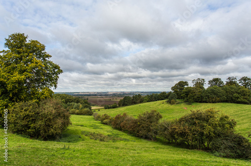 Countryside Landscape with a tree © Steve
