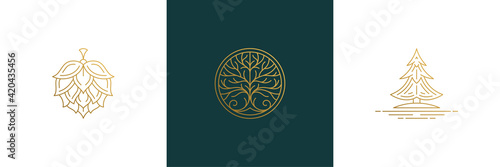 Vector line elegant decoration design elements set - tree and hop illustrations minimal linear style