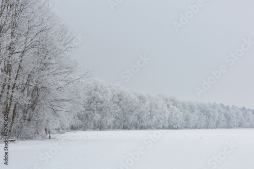 Gorgeous winter landscape with snow and fog, Pardubice, Czech republic © Jiri Vondrous
