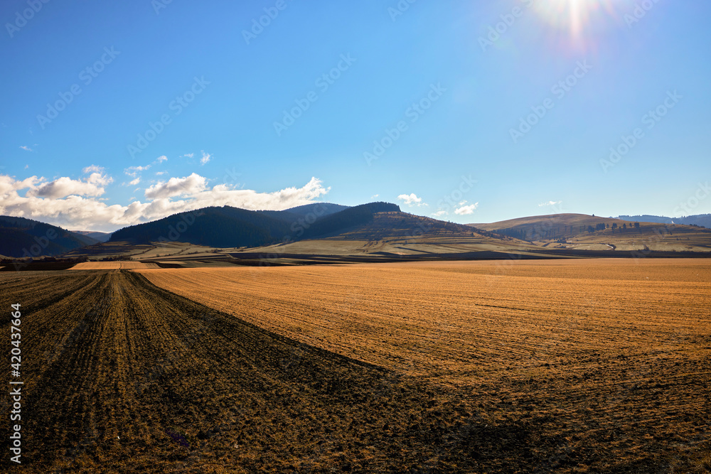 landscape with agricultural field and mountains in the background