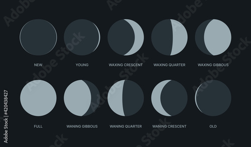 Moon phases. Night symbols for moon calendar circle round shapes logos waxing pack garish vector stylized forms isolated