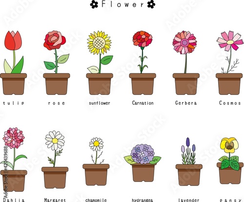 鉢植え　花のイラスト素材セット　カラフル