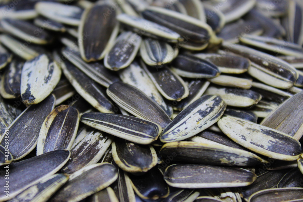 Organic sunflower seed. Sunflower crack seeds. Close up. Texture or background concept.