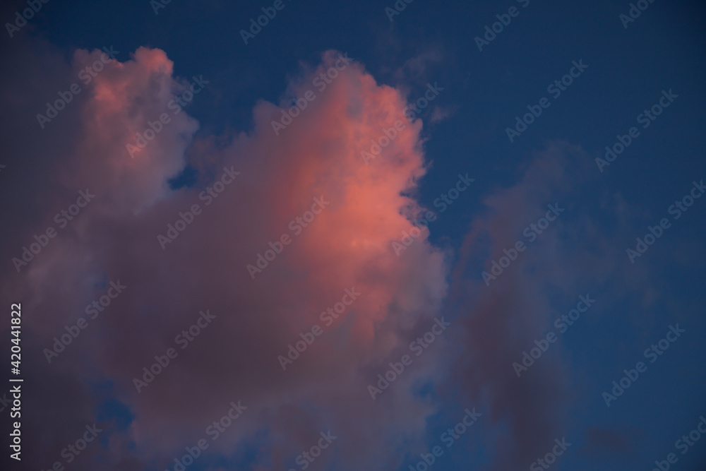 Pink natural light on puffy cumulus Clouds. Individual denses clouds with a pillowy appearance on blue sky. Pink natural light on puffy cumulus Clouds. Individual denses clouds with a pillowy appearance on blue sky.