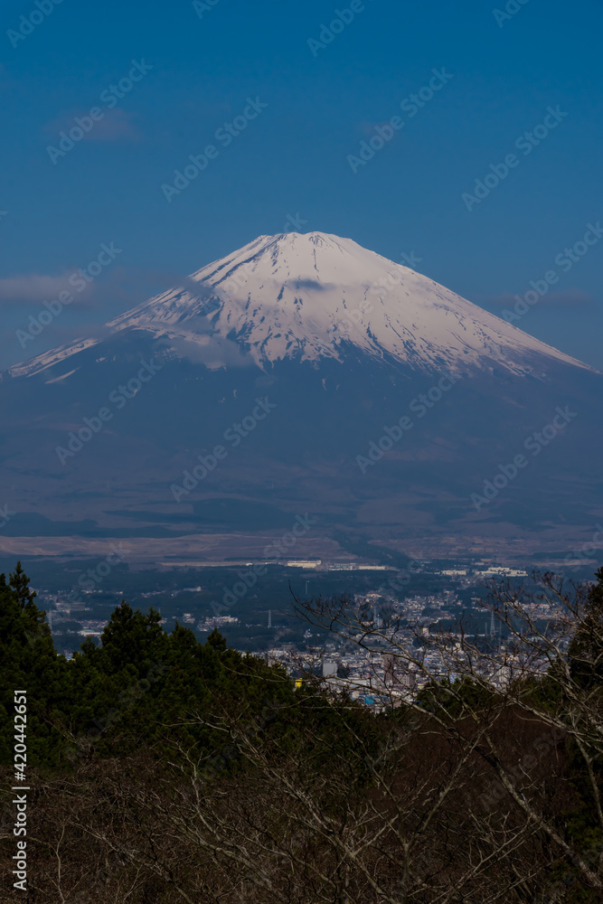 A bird's-eye vertical view of snow-capped Mount Fuji through clouds and trees, with a city at its feet