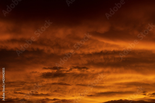 Fototapeta Naklejka Na Ścianę i Meble -  Altostratus clouds in golden sunset. Evening Cloudscape.