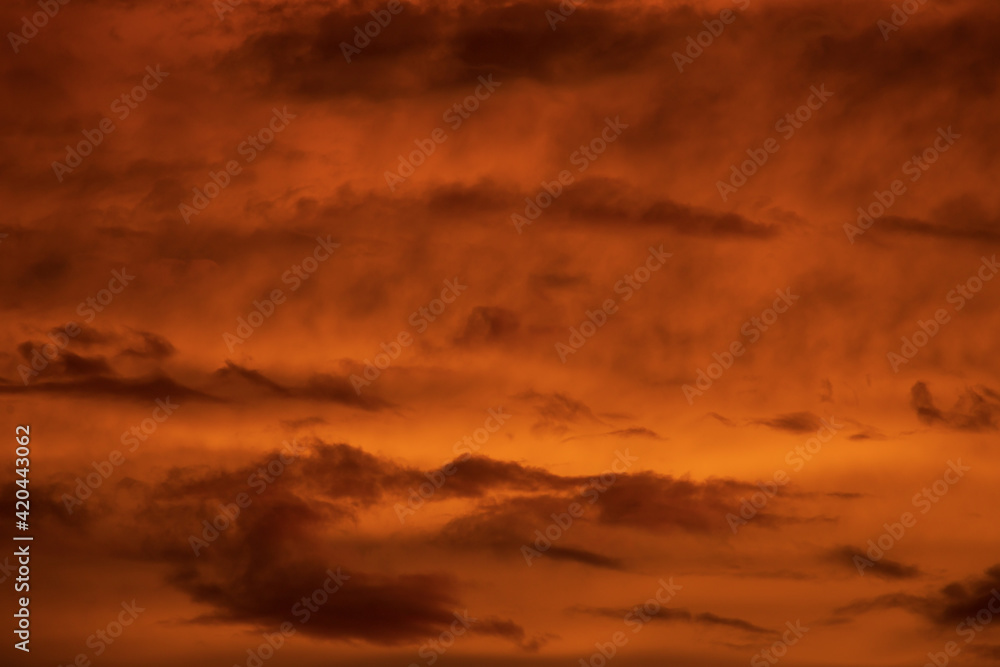 Altostratus clouds in golden sunset. Evening Cloudscape.