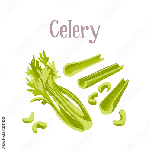 Fresh celery bunch, stalks and chopped. Healthy nutrition product.