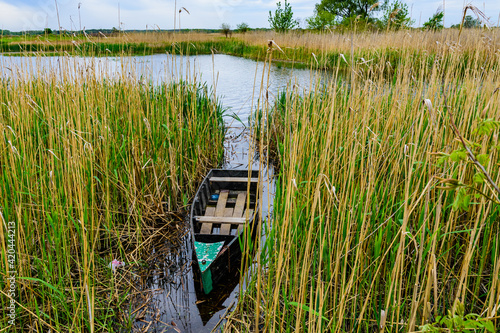 Fototapeta Naklejka Na Ścianę i Meble -  Old boat moored in the thicket of reeds