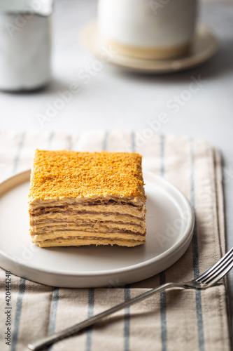 Delicious slice of homemade honey cake on white background.
