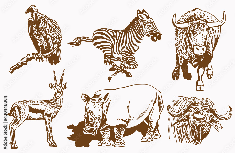 Obraz premium Vector set of animals, sepia background, African collection elements 