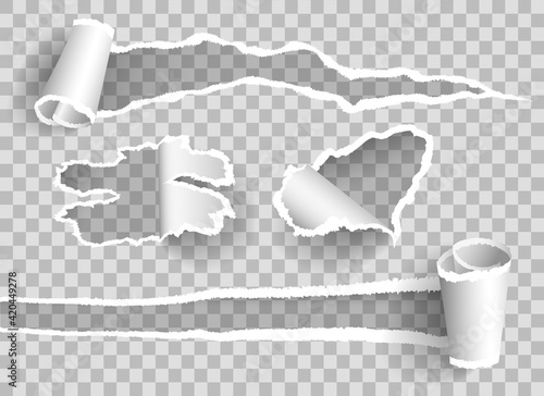 Curled ripped paper, realistic textures
