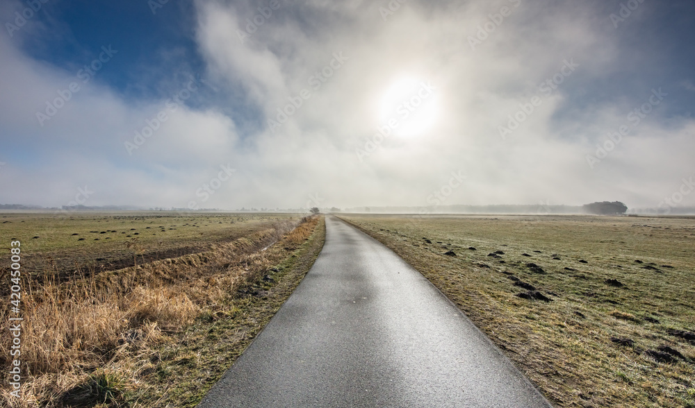 Fototapeta premium nebeltag