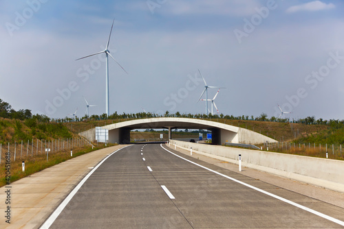 ecological bridge for wild animals along the road and wind turbines photo