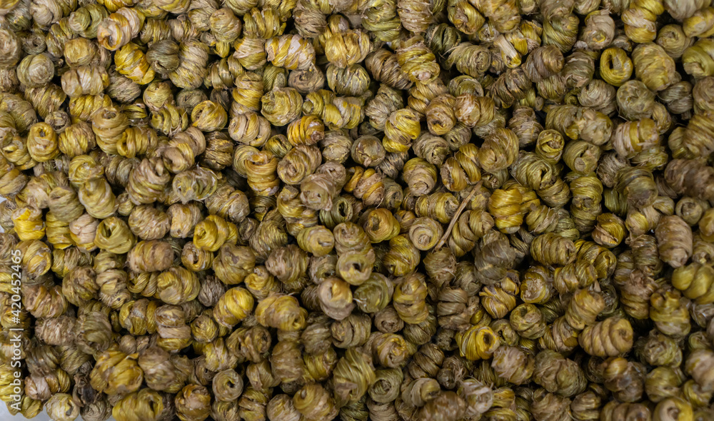 Dendrobium is a kind of Chinese herbal medicine Dendrobium is a kind of Chinese herbal medicine