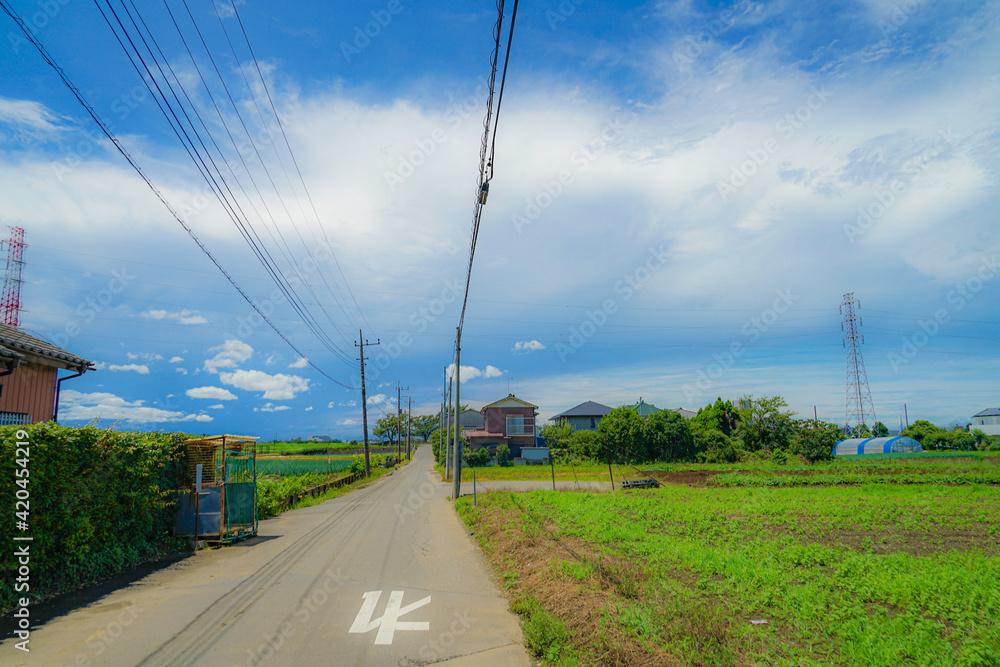 Fototapeta premium 松戸市矢切の田園風景