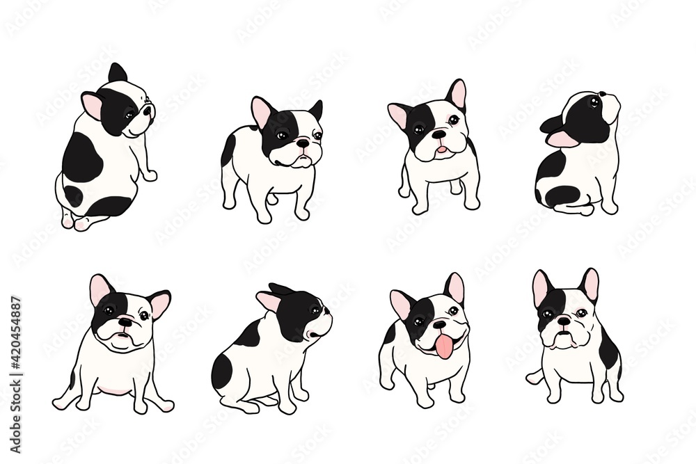 Obraz premium Hand drawn illustrations set of dogs on white background, French Bulldog breed
