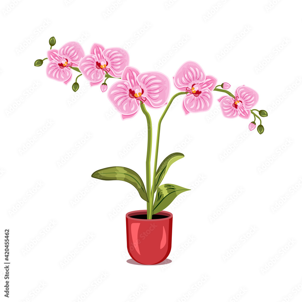 Naklejka premium orchid flower in pot