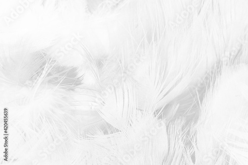 white feather texture background,pastel soft fur for baby to sleep. © nadtytok28