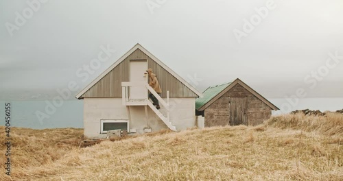 Man walking upstairs of a tiny house 