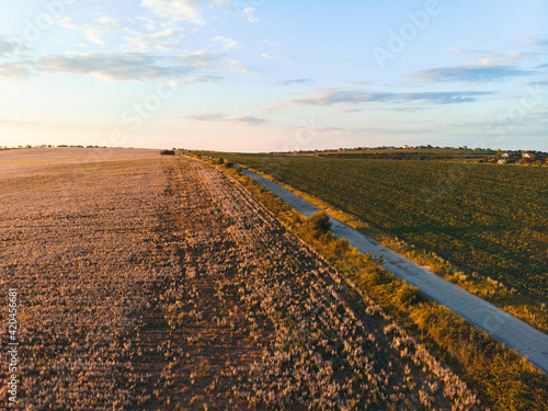 road between wheat and sage field