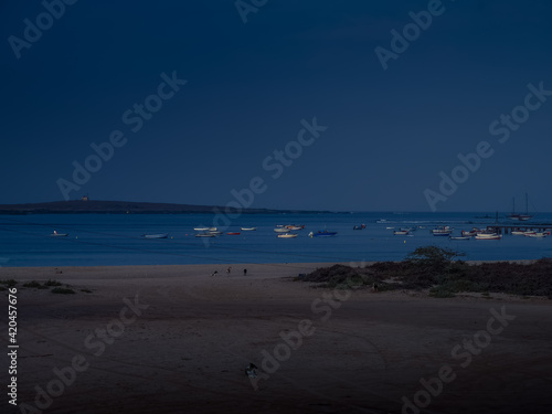 Night time on the beach of Sal Rei, Cape Verde. Small wooden fishing boats floating in the Atlantic Ocean, some mongrel dogs are chilling on the beach. Selective focus on the land, blurred background. photo