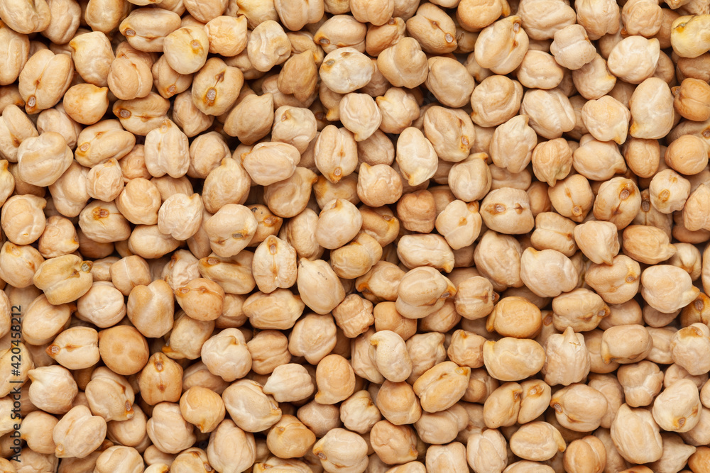 Close up of Organic small chhole chana or Kabuli chana (Cicer arietinum) or whole white Bengal gram dal Full-Frame Background. Top View Close up of Organic small chhole chana or Kabuli chana (Cicer arietinum) or whole white Bengal gram dal Full-Frame Background. Top View