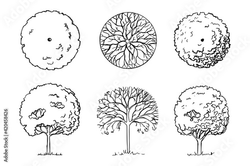 Sketch of deciduous trees set three plants