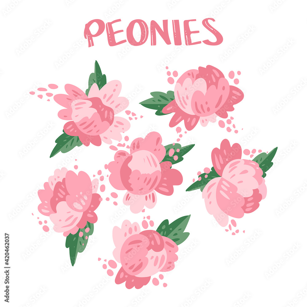 Set of peonies drawn in cartoon style, vector