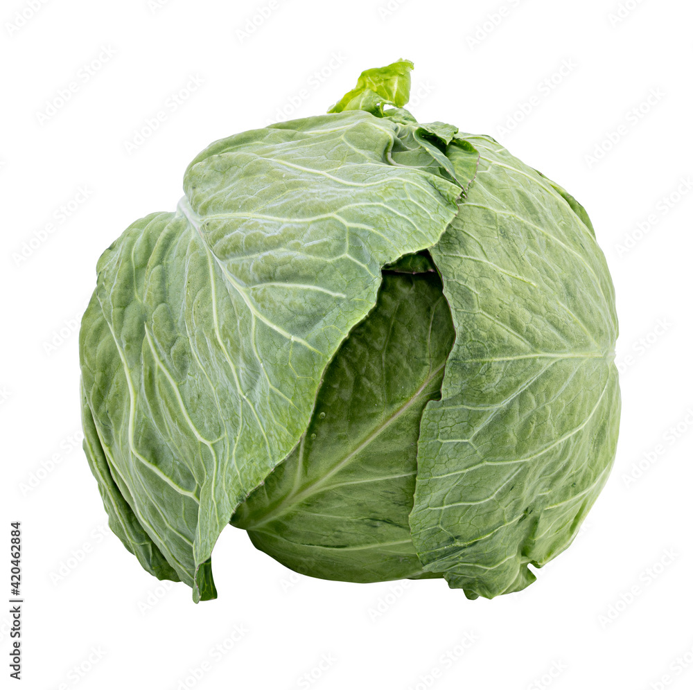 Fototapeta premium Fresh cabbage isolated on white background