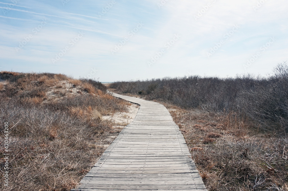 Boardwalk Path through the Dunes