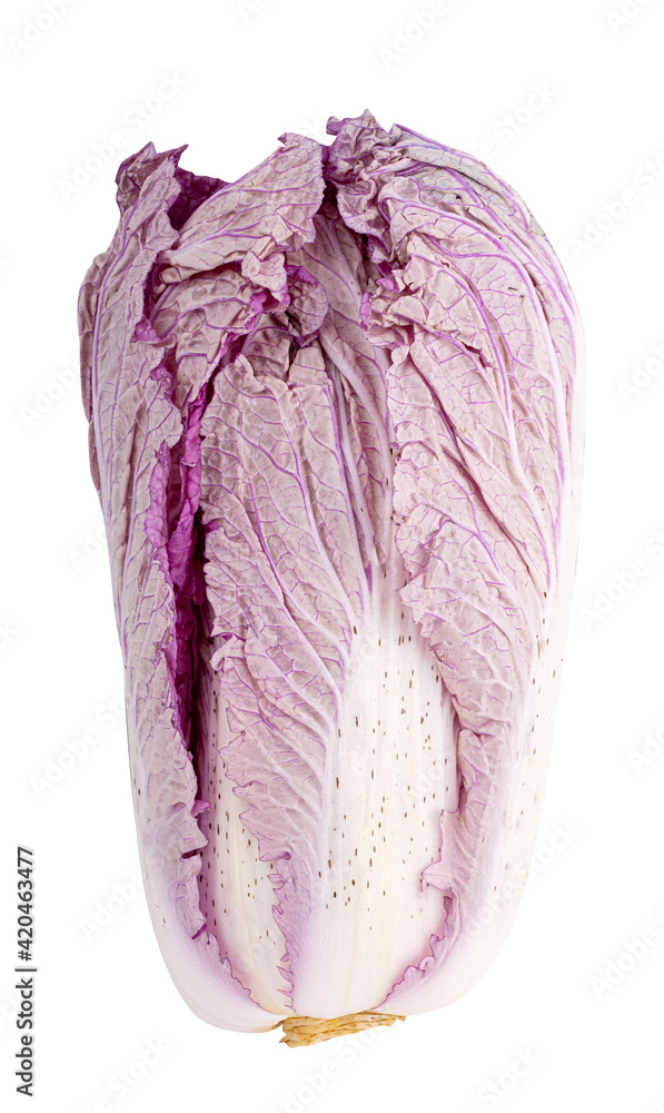 Obraz premium Chinese cabbage isolated on white background