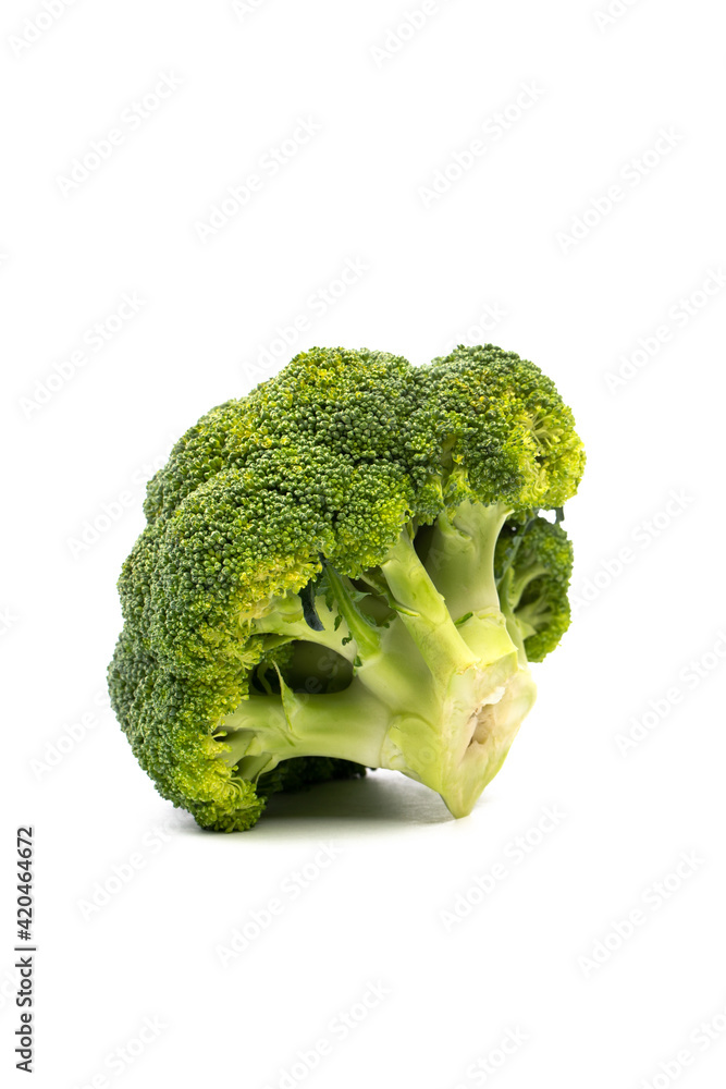 Broccoli on white background Broccoli on white background