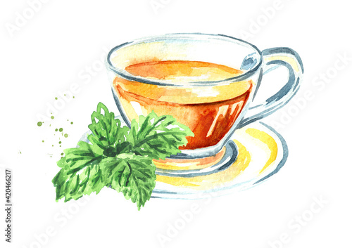 Cup of herbal tea with bunch of fresh Melissa or lemon balm leaves, Hand drawn watercolor illustration isolated on white background