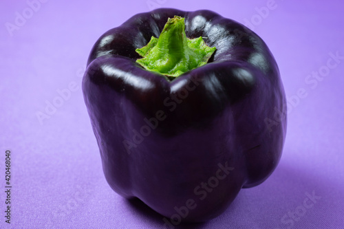 purple paprika on lilac background