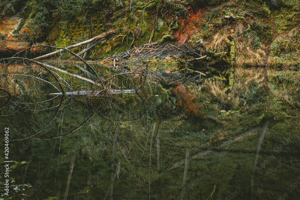 Mirror cliffs and cave surrounded by beautiful forest in Cirulisi nature trails near Cesis, Latvia Mirror cliffs and cave surrounded by beautiful forest in Cirulisi nature trails near Cesis, Latvia