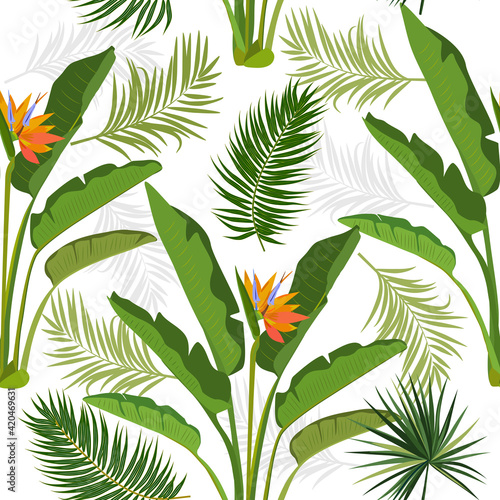 Tropical vector seamless pattern with leaves of strelitzia, palm tree and flowers