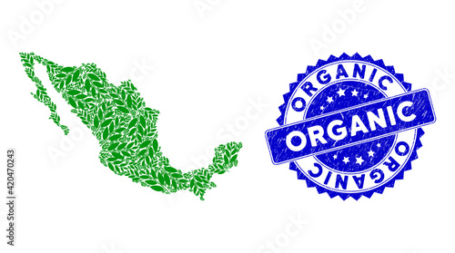 Mexico collage map composed from coca plant leaves icons, and Organic grunge seal stamp. Vector coca plant leaves randomized flat design elements are combined into conceptual map of Mexico.