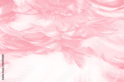 Coral pink vintage,feather pattern texture background,pastel soft fur for baby to sleep.