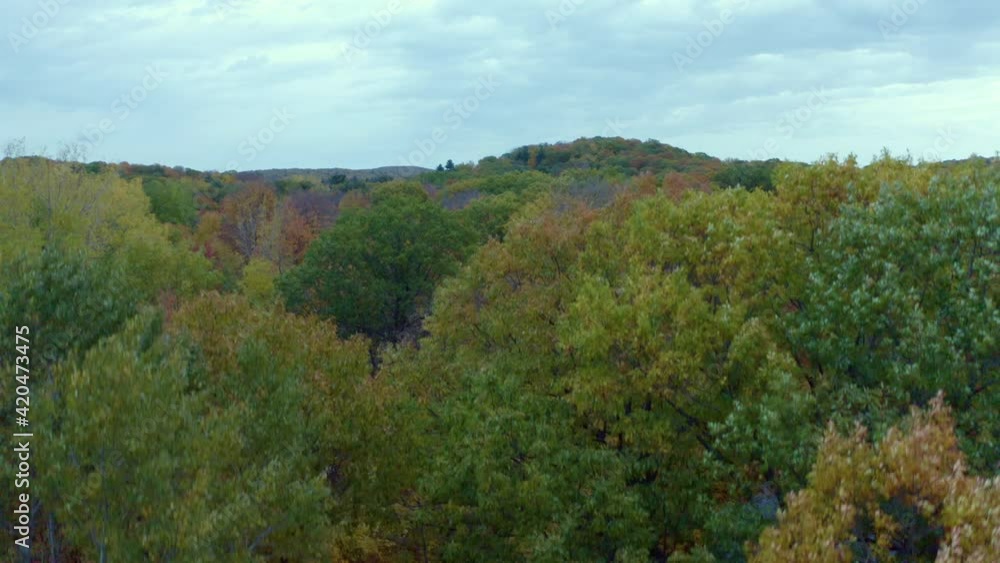 Drone moving down From above the forest to the ground level in autumn Drone moving down From above the forest to the ground level in autumn