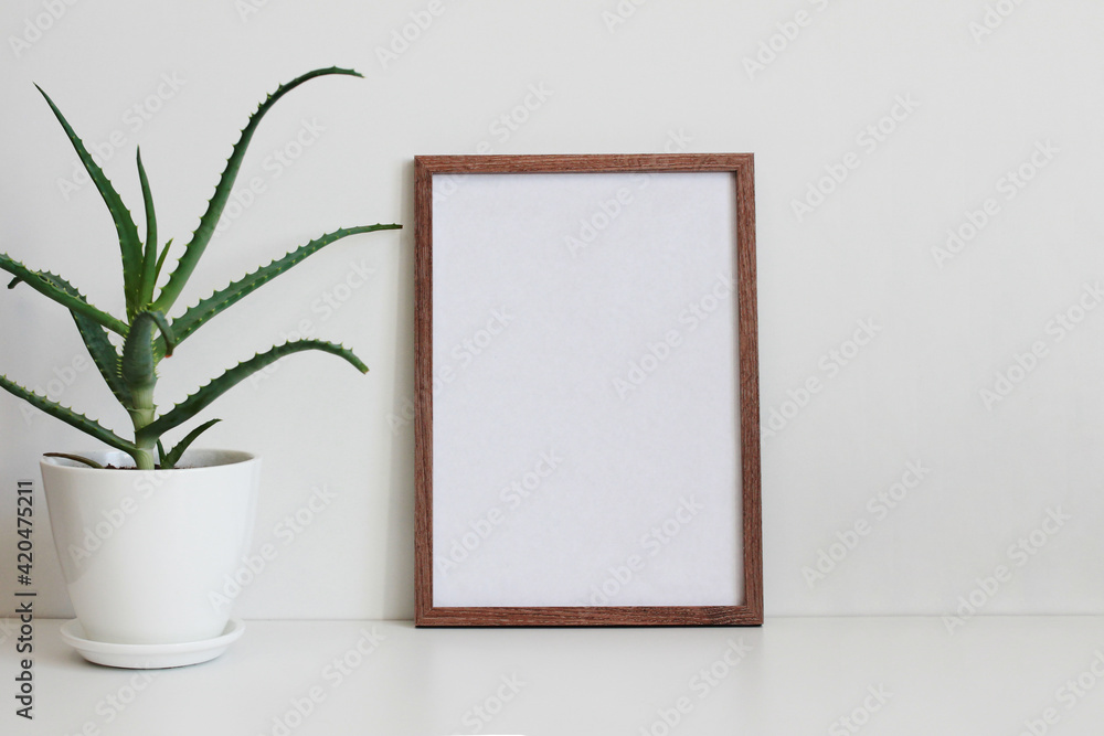 frame on the wall and aloe in white flowerpot frame on the wall and aloe in white flowerpot