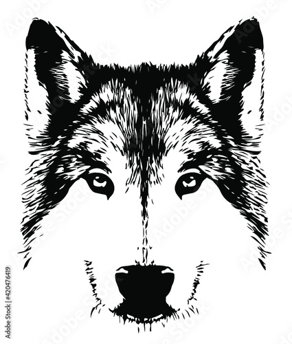 illustration of a wolf