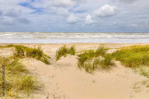 Landscape view of sand dune on the North sea coast