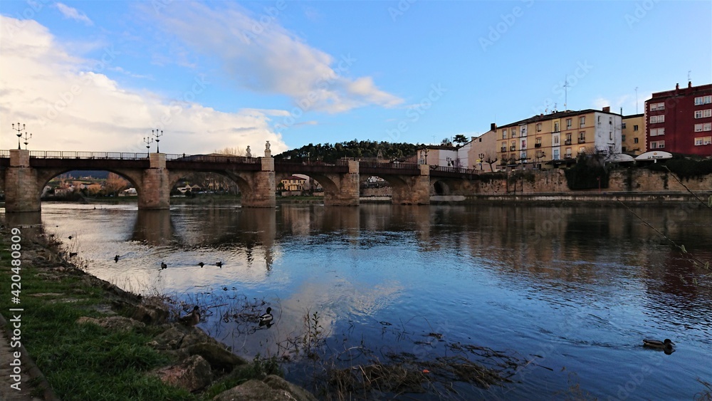 Ducks in the blue river at Miranda de Ebro, Spain.
Miranda de Ebro is a city in Spain, located in the north of the country, in the Comarca Valle del río Ebro.