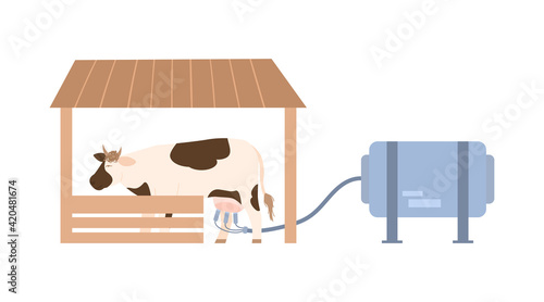 Cow on dairy farm during milking cartoon vector illustration isolated.