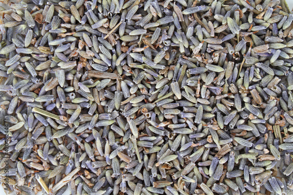 natural background texture of seeds  lavender flowers