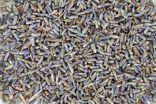 natural background texture of seeds lavender flowers